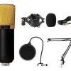 Kit Microfono Estudio Condensador Profesional - Imagen 3